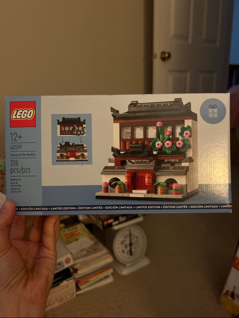 LEGO Houses of the World 4